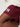 The Garity Shorts - The Harvard Shop